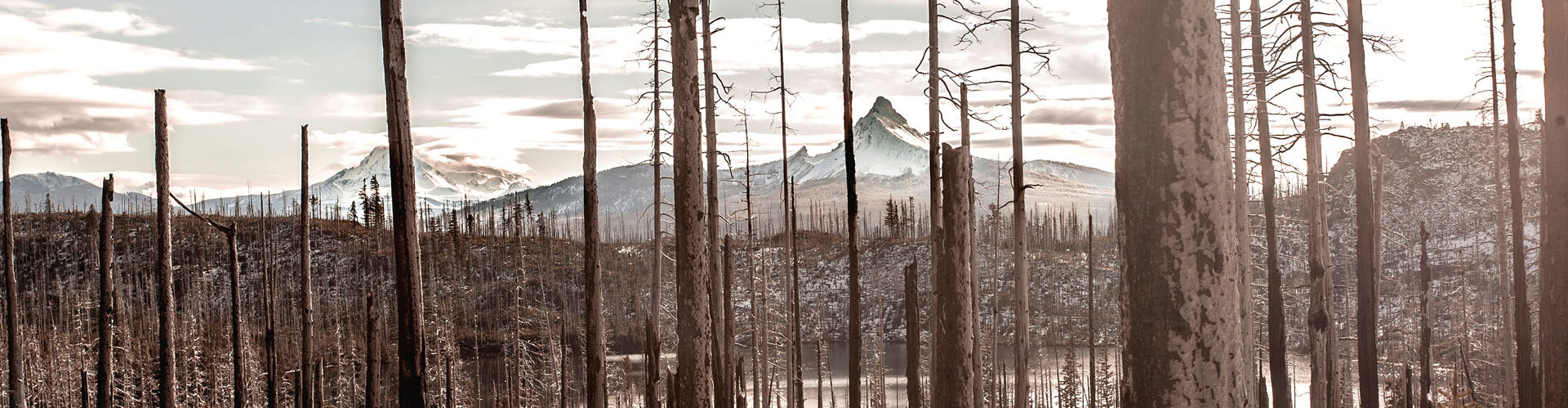 EDS Chronic Pain Physical Therapy in Portland